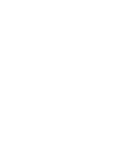 Saal Fernandes Logotipo